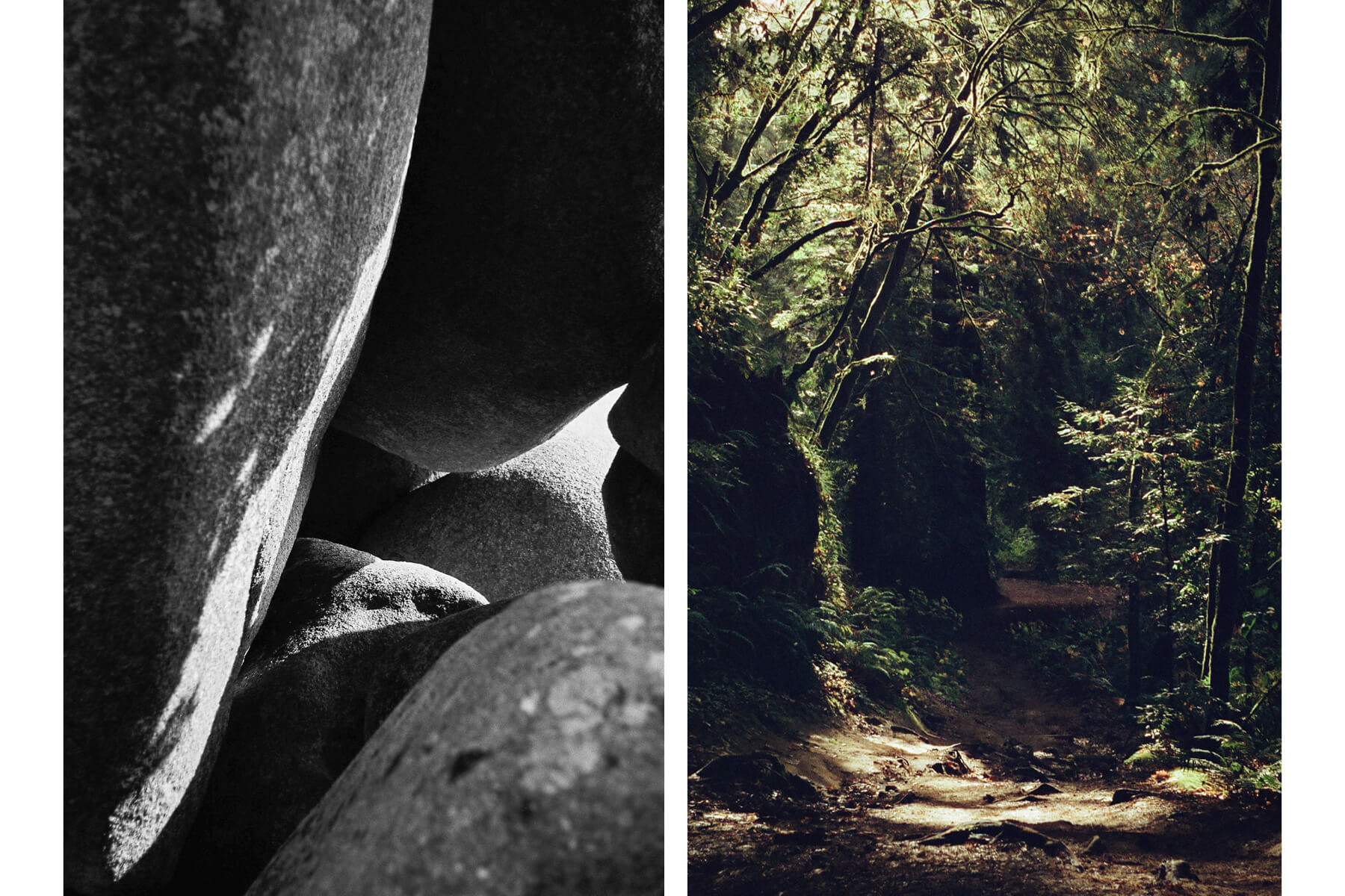 Nature Touch